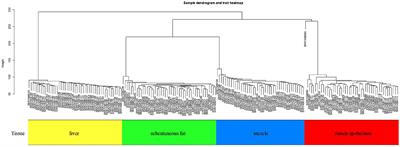 Weighted Gene Co-Expression Network Analysis Identifies Key Modules and Central Genes Associated With Bovine Subcutaneous Adipose Tissue